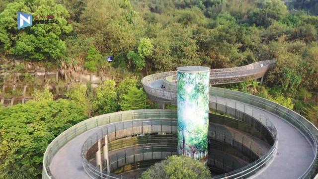 完整版视频！国家顶级合唱团在福道唱响《我和我的祖国》，燃爆了