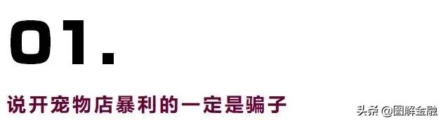 开宠物店暴利？是真是假戳进来看看就知道！