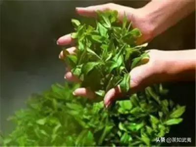 去泰国度假，别忘了体验冰茶和腌茶
