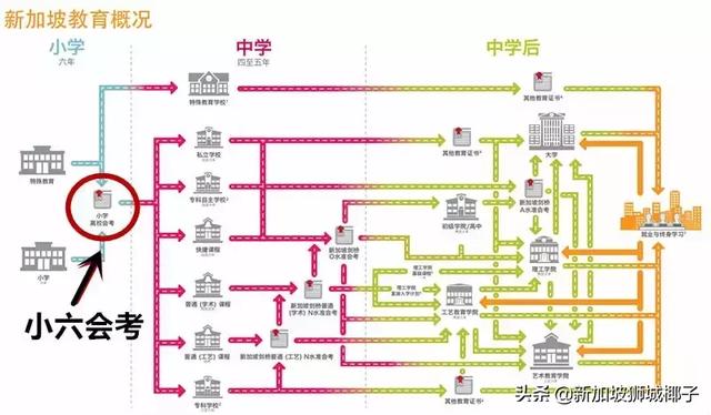 从出生到死亡！揭秘你在新加坡的一辈子