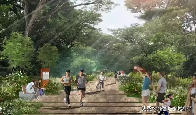 最新！新加坡又要建一新花园，这区房价目测要涨涨涨~