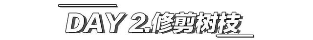 去内蒙古沙漠“干农活”，我居然偶遇了潘玮柏...