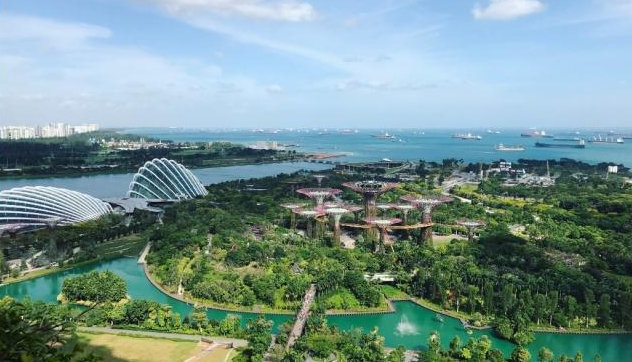 藏匿在城市中的森林，现存的世外桃源，令人向往的空中花园