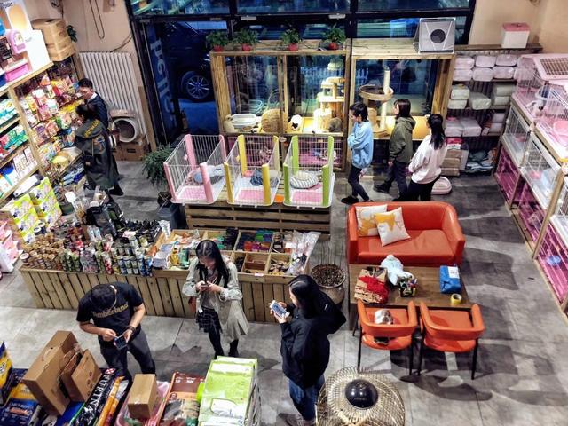 开宠物店暴利？全案解析宠物行业令人费解的低收入真相