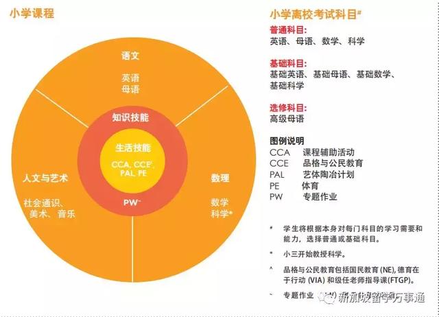 新加坡小一直入报名即将开始，公民、PR、外国人该怎么报名