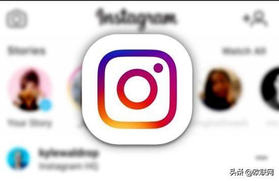 马来西亚少女发起网上投票定生死 顺民意跳楼身亡