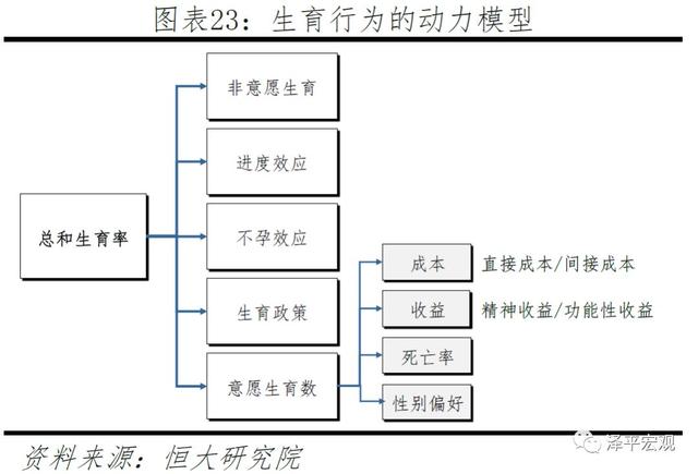 中国生育报告：2019