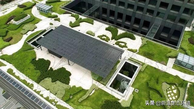 垂直绿化植物墙在森林城市绿地中的应用带来的经验与启示