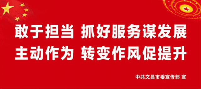 “大爱无疆 · 微笑海南”文昌举行新加坡义诊活动十周年晚会