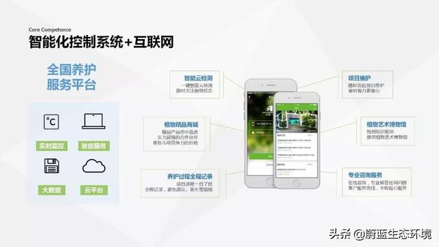 垂直绿化植物墙在森林城市绿地中的应用带来的经验与启示