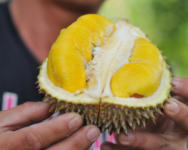 澳一大学550人紧急疏散，结果竟是把榴莲味误当煤气泄漏！