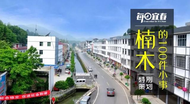 楠木的这100件小事，估计好多人只知道20%！