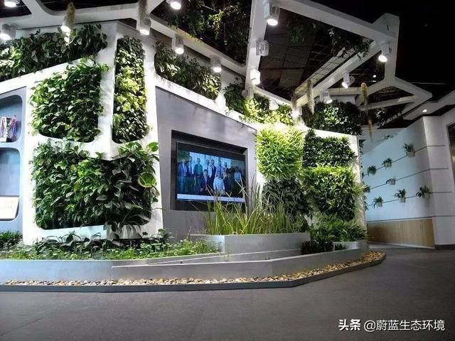 垂直绿化植物墙在森林城市绿地中的应用带来的经验与启示