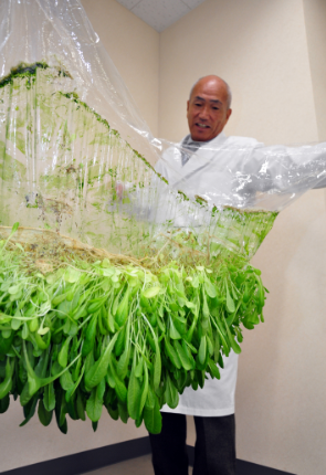 薄膜上种植农作物，不仅节水，还预防病虫害？这是什么黑科技