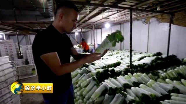 从菜农到年收入8亿元！蔬菜“国际港”竟出自云南这个小县城