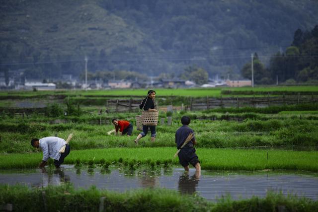 世界腾冲 天下和顺----腾 冲 游 记