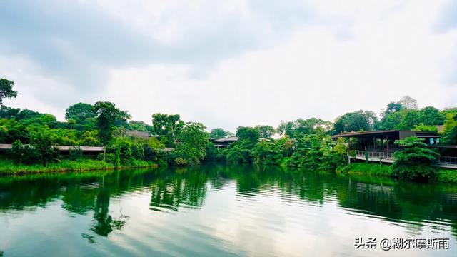 悠闲旅地新加坡游记，放慢脚步览夜景吃美食顺便收获童心