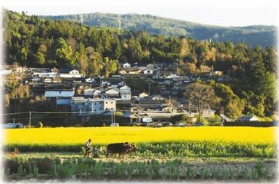 腾冲还原传统村落之美：“盘活”古村 “保鲜”乡愁