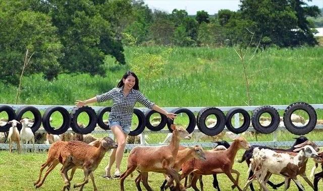 从养殖基地到休闲农场典范，马来西亚UK Farm是怎么做到的？