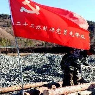 一个地方国营林场的蝶变新生