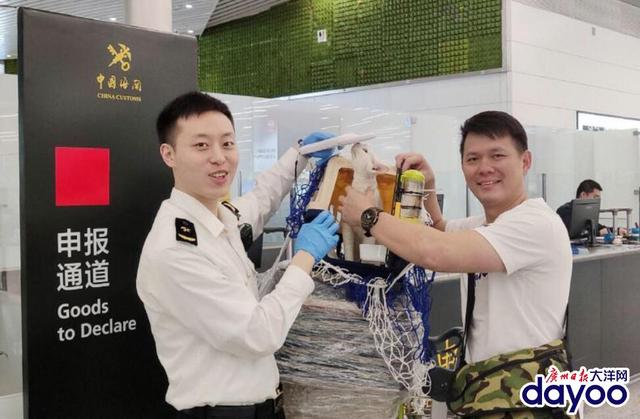 海关新规出台 萌宠入境符合条件可免30天隔离