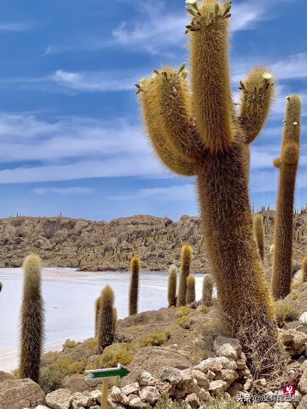 探索天空之镜——记玻利维亚乌尤尼盐沼
