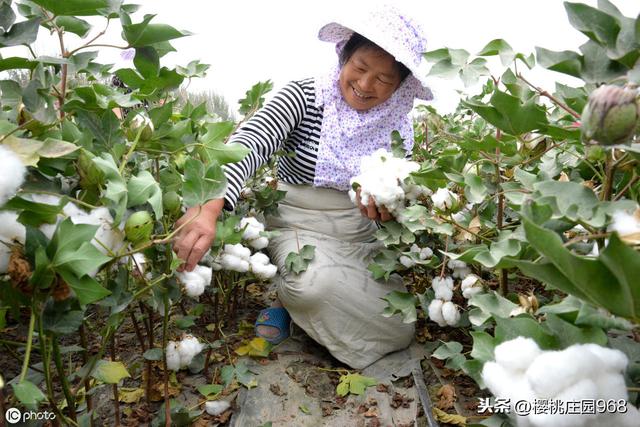 全球化经济的前世今生，英国品逆袭，美国黑马胜出，中国强势崛起