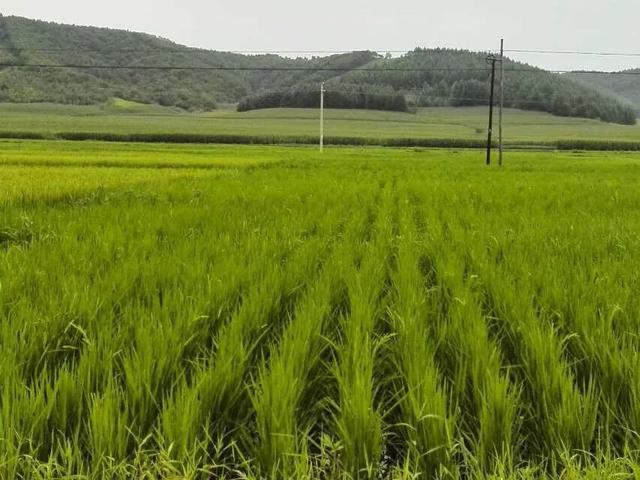 经济日报丨财经早餐【5月3日】