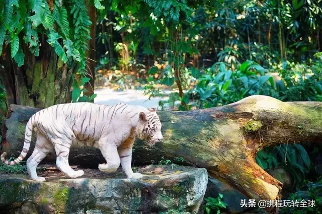 千万别带孩子去这些地方，因为会...