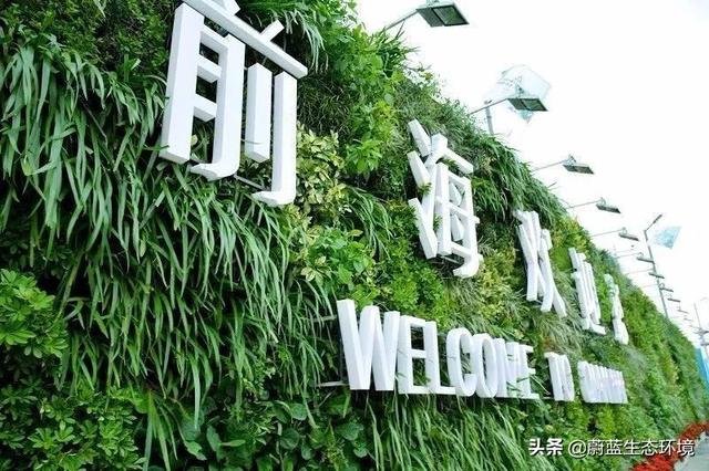 垂直绿化植物墙在森林城市绿地中的应用带来的经验与启示