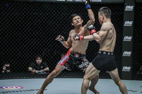 苗立涛休养18个月后复出 想要一回合降服草量级前世界冠军