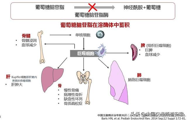 早安徽丨2019年中小学招生方案已发布；安徽发28个大风预警；池州29家3A以上景区对全省16市市民分期免费开放