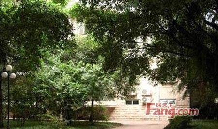 棕南西街5号院 PK 郭家桥南街1号院谁是武侯最热门小区？