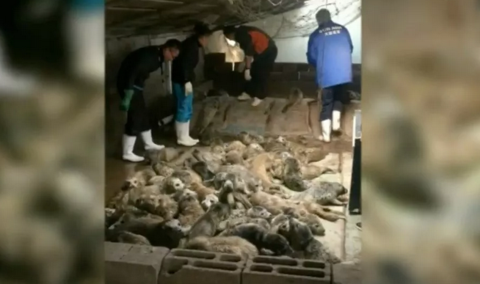 看到中国这次拯救行动 外国网友都在说：谢谢！