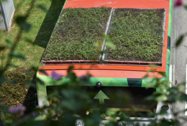 环保加节能，新加坡尝试在城市公交车顶种草