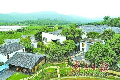 一场“空心村”的乡村文旅实验