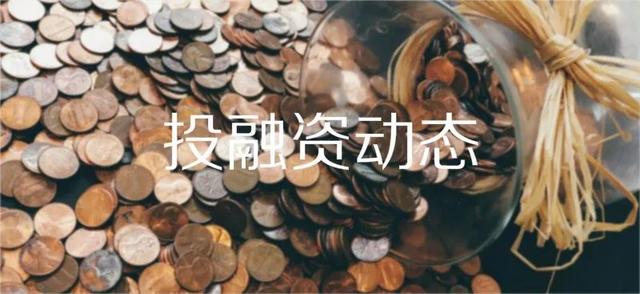 达达乐队时隔十五年再发新作；Spotify本周股价大幅飙升
