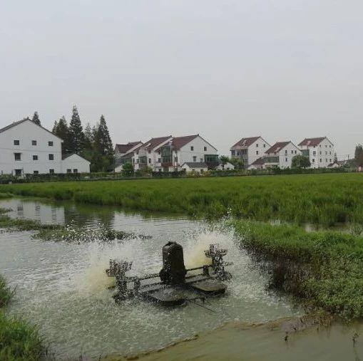 金山这个基地养了一种神秘的虫！竟可让湖水变清...