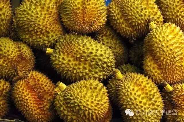 小包团去马六甲吃精品名种榴梿咯，$219起2天1夜，快上车吧！