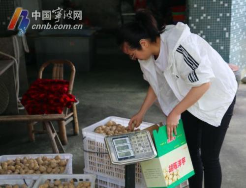 胡陈土豆卖出国！那一口软糯沙绵 是宁波人心中家乡味道