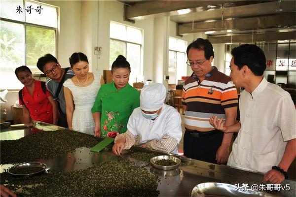 一杯八桂凌云白毫茶，醉天醉地醉情怀