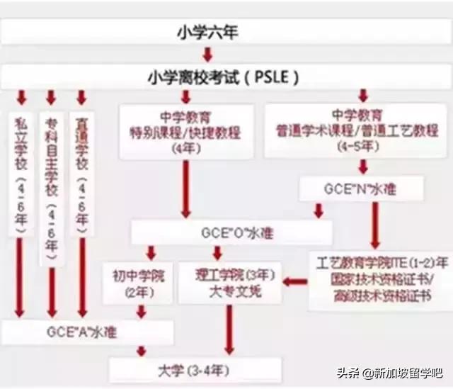 甲:“来到新加坡，你还需要补习吗？” 乙:“不然呢？你以为呢”