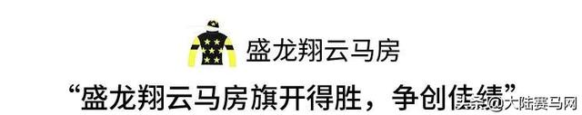 中国赛马界的半壁江山都在这了！看看你认识几个？！