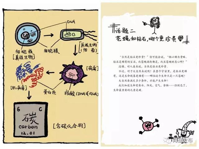 能搞科研能写书!在美国普林斯顿读博的海盐姑娘好厉害