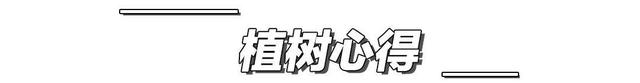 去内蒙古沙漠“干农活”，我居然偶遇了潘玮柏...