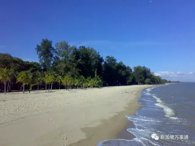 生活在新加坡东海岸是怎样一种体验？你最想要的海景房全在这儿