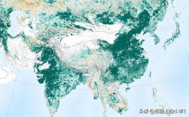 连续多年森林覆盖率全球第一，地窄人稠的日本是如何做到的？