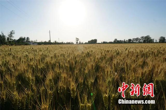 河南竟有这么多超级小镇！厉害了，我的家！