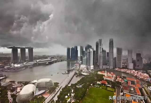 新加坡狂风暴雨来了，全岛多处大树都被连根拔起!