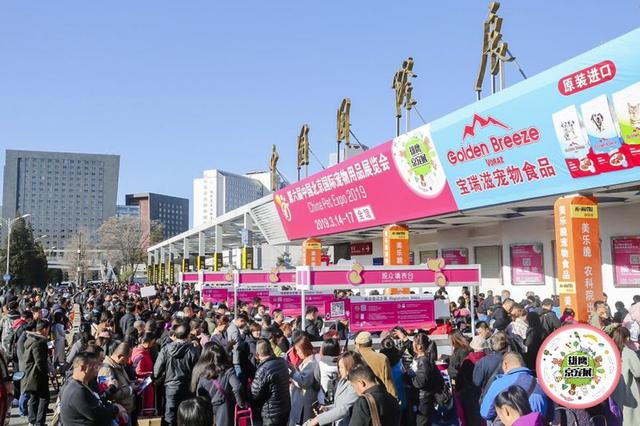 逛京宠展：品牌有温度，宠物好幸福